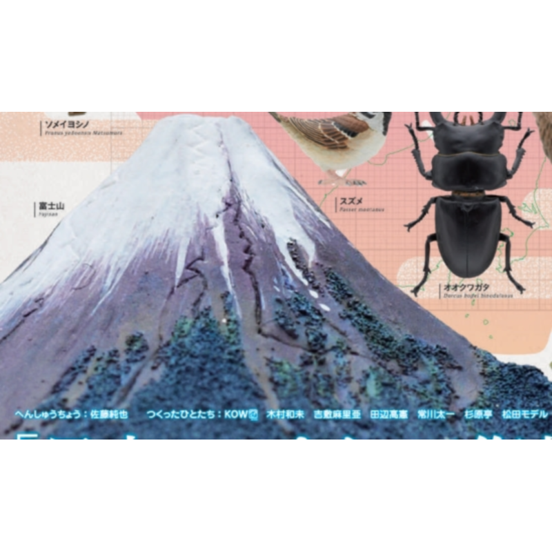 Japão Ikimon Gashapon Cápsula  - Capsule Toy Gashapon avaliação e preço